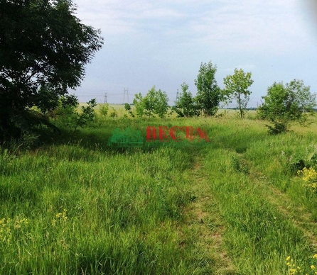 Участок, 10.00 сот., ИЖС