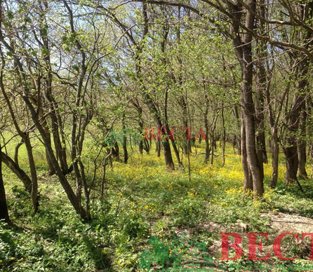 Участок, 350.00 сот., Сельхоз назначение