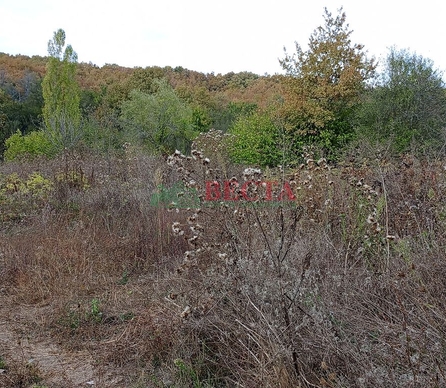 Участок, 25.58 сот., Личное подсобное хозяйство