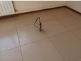 Офис, 350.00 м², 1/2 этаж  фото 3