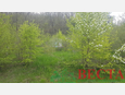 Участок, 30.00 сот., ИЖС фото 14