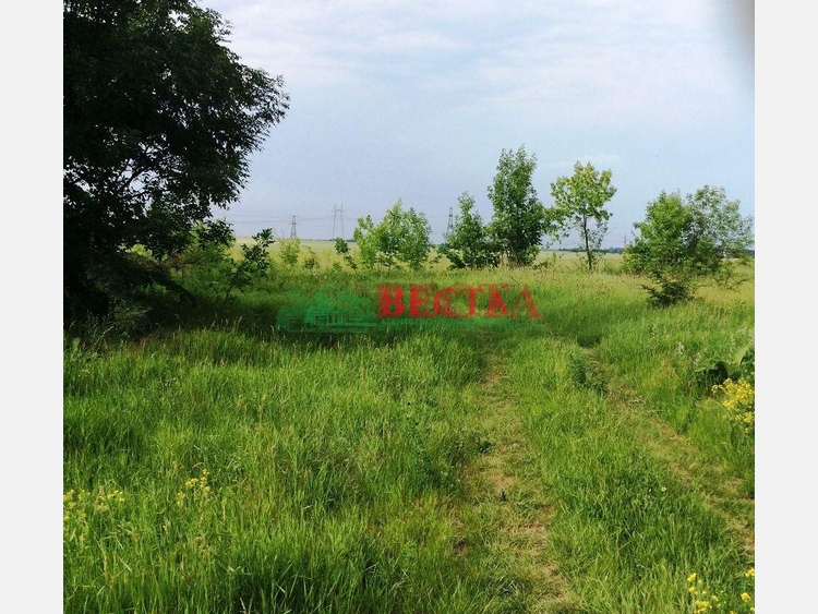 Участок, 10.00 сот., ИЖС фото 0