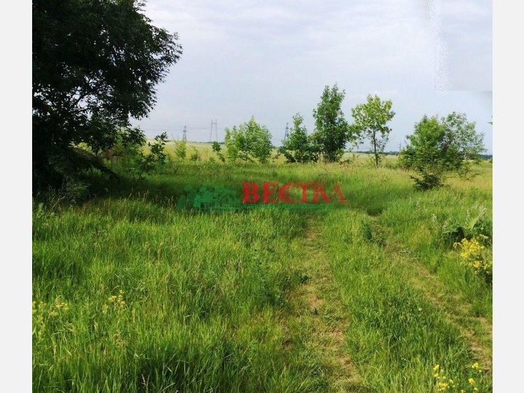 Участок, 10.00 сот., ИЖС фото 4