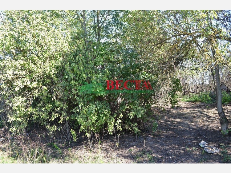 Участок, 10.00 сот., ИЖС фото 3