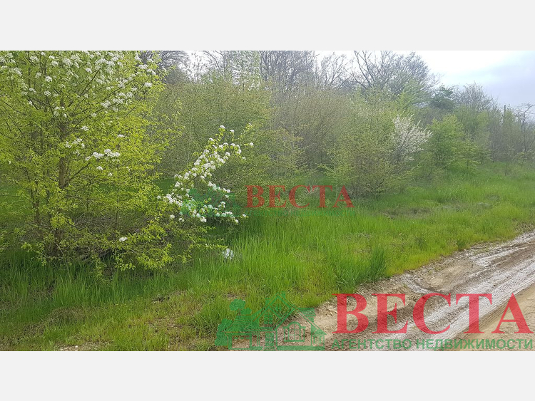 Участок, 30.00 сот., ИЖС фото 18