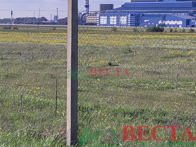 Участок, 620.00 сот., Сельхоз назначение фото 13