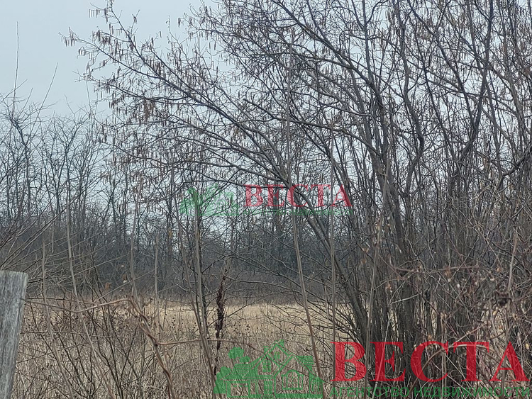 Участок, 50.00 сот., ИЖС фото 5