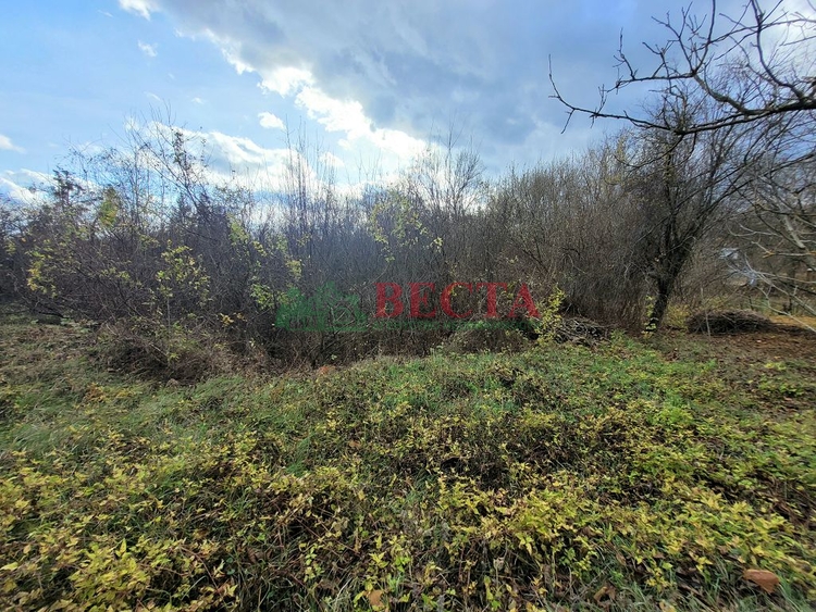 Участок, 17.00 сот., ИЖС фото 6