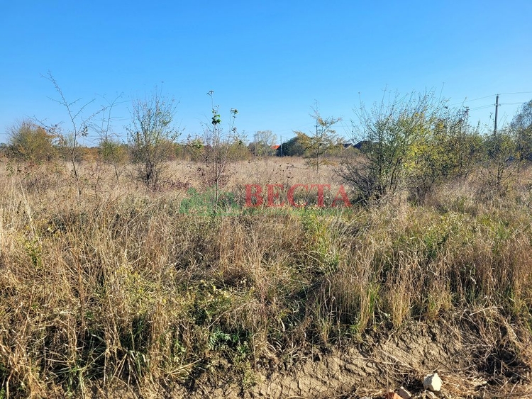 Участок, 10.00 сот., ИЖС фото 5