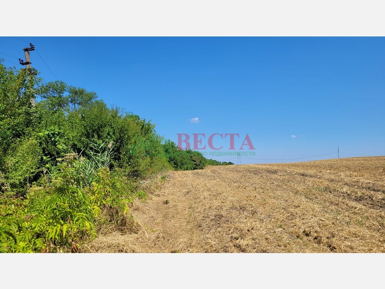 Участок, 320.00 сот., ИЖС фото 12