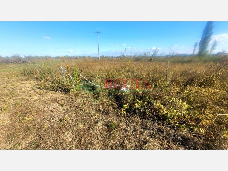 Участок, 6.00 сот., Садоводство фото 2