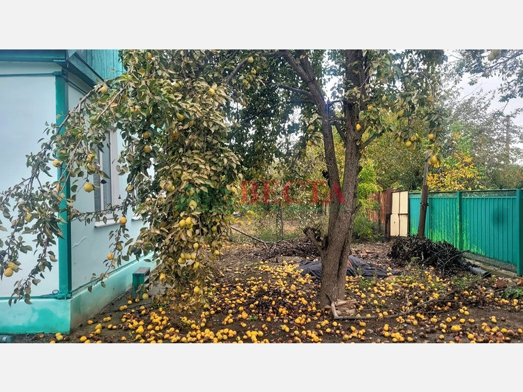 Дом, 48.00 м², на участке 5 сот. фото 25