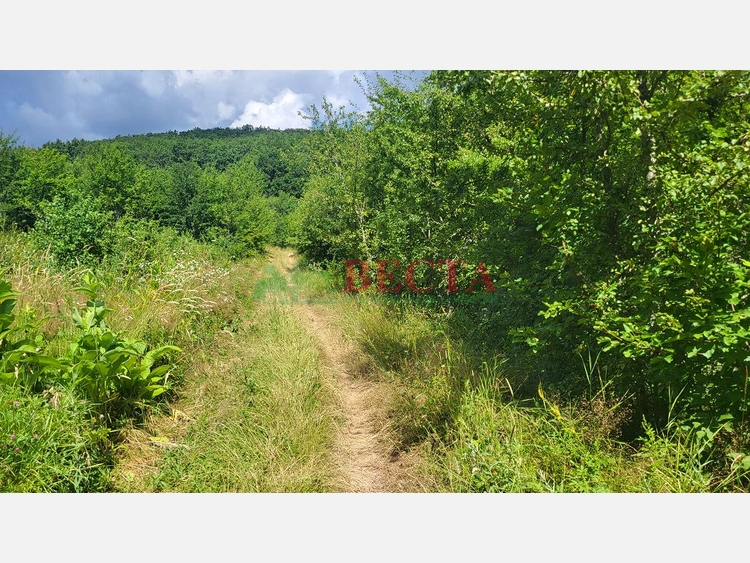 Участок, 75.35 сот., ИЖС фото 13