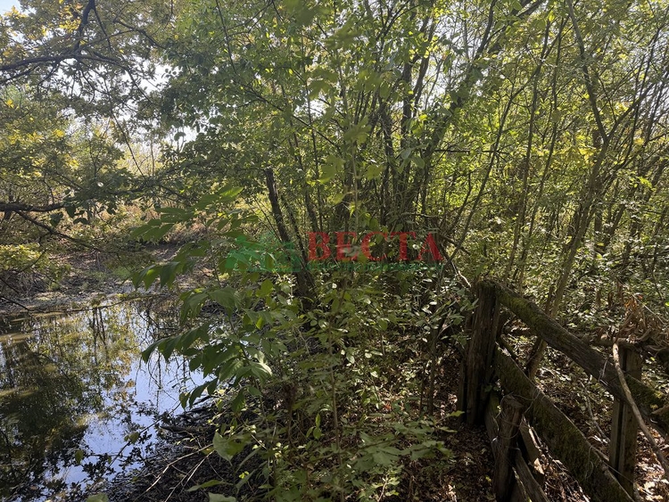 Участок, 11.80 сот., ИЖС фото 1
