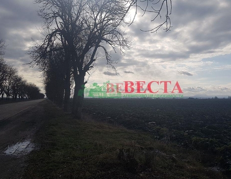 Участок фото 7