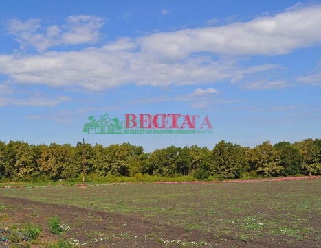 Участок фото 4