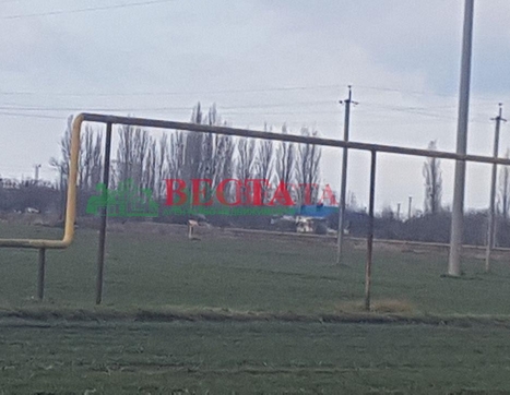 Участок фото 11