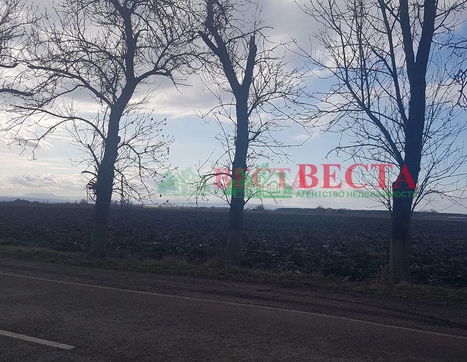 Участок фото 12
