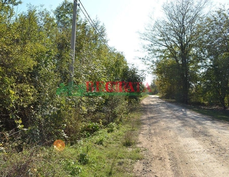 Участок фото 6