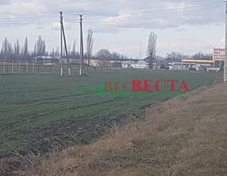 Участок фото 4