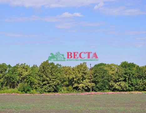 Участок фото 10