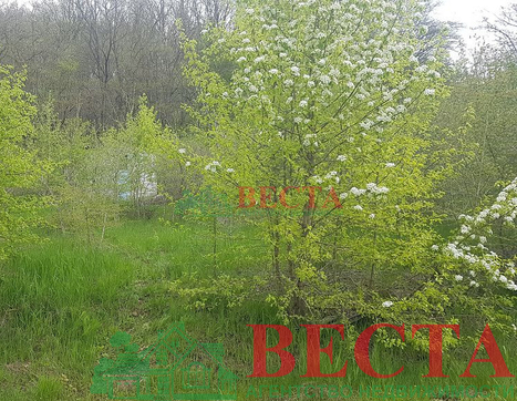 Участок фото 14