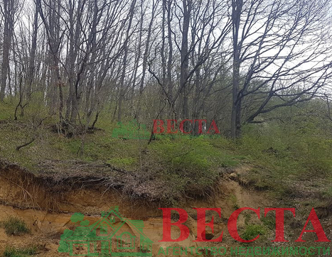 Участок фото 1