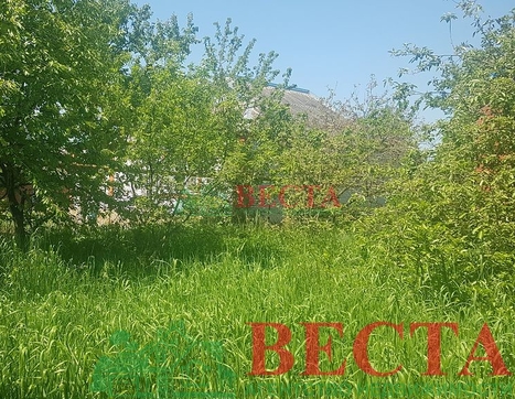 Дом фото 3