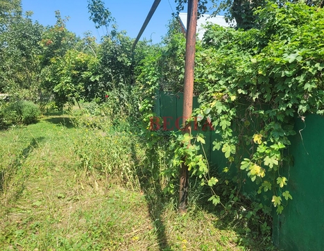 Дом фото 0