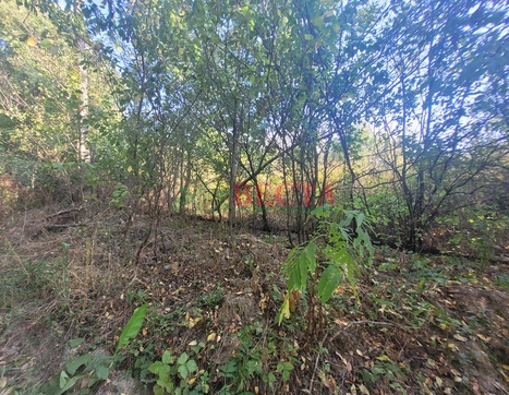 Участок фото 6