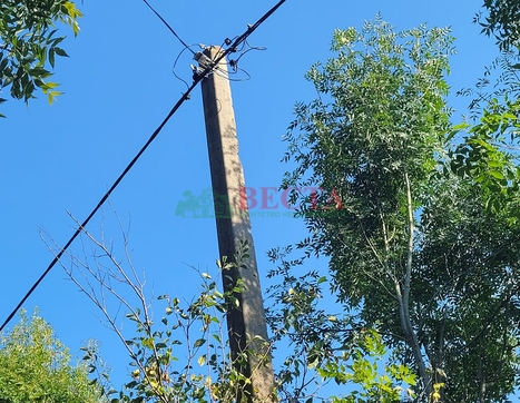 Участок фото 8