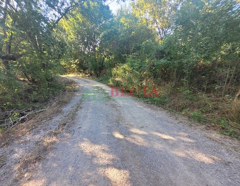 Участок фото 9