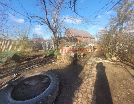 Дом фото 3