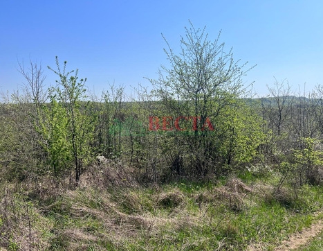Участок фото 3
