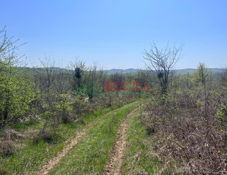 Участок фото 5