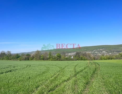 Участок фото 5