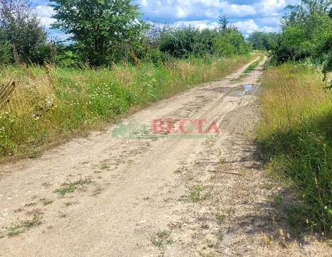Участок фото 7