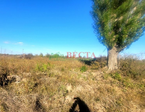 Участок фото 5