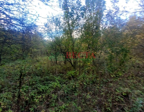 Участок фото 3