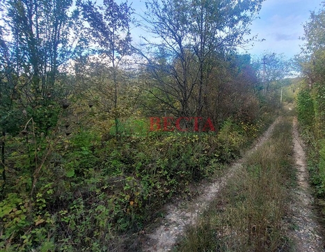 Участок фото 4