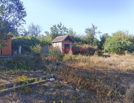 Дом фото 3