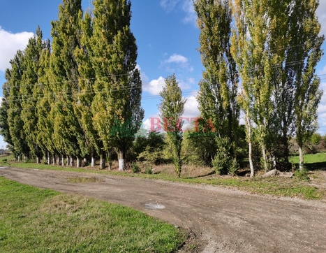 Производство, 531.00 м² фото 14