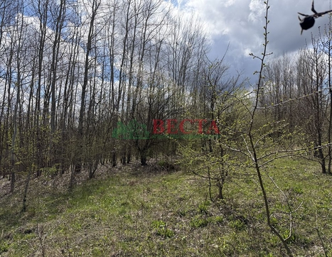 Участок фото 0