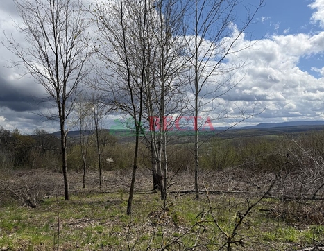Участок фото 5