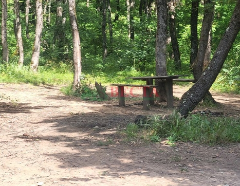 Участок фото 0