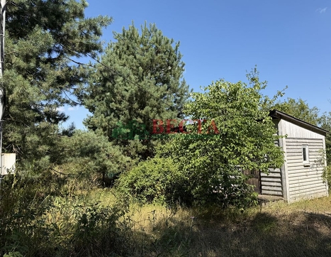 Участок фото 5
