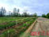 Участок фото 5