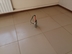 Офис, 350.00 м², 1/2 этаж  фото 3