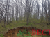 Участок фото 2