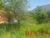 Дом фото 4